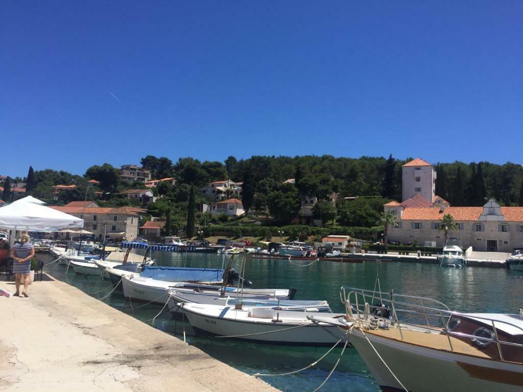 In 70m From The Sea Maslinica