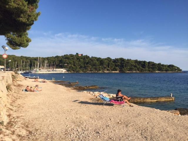 In 70m From The Sea * Maslinica