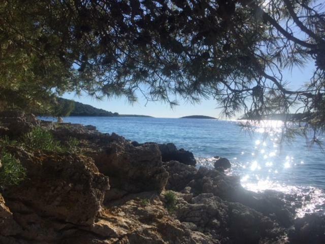 In 70m From The Sea Maslinica
