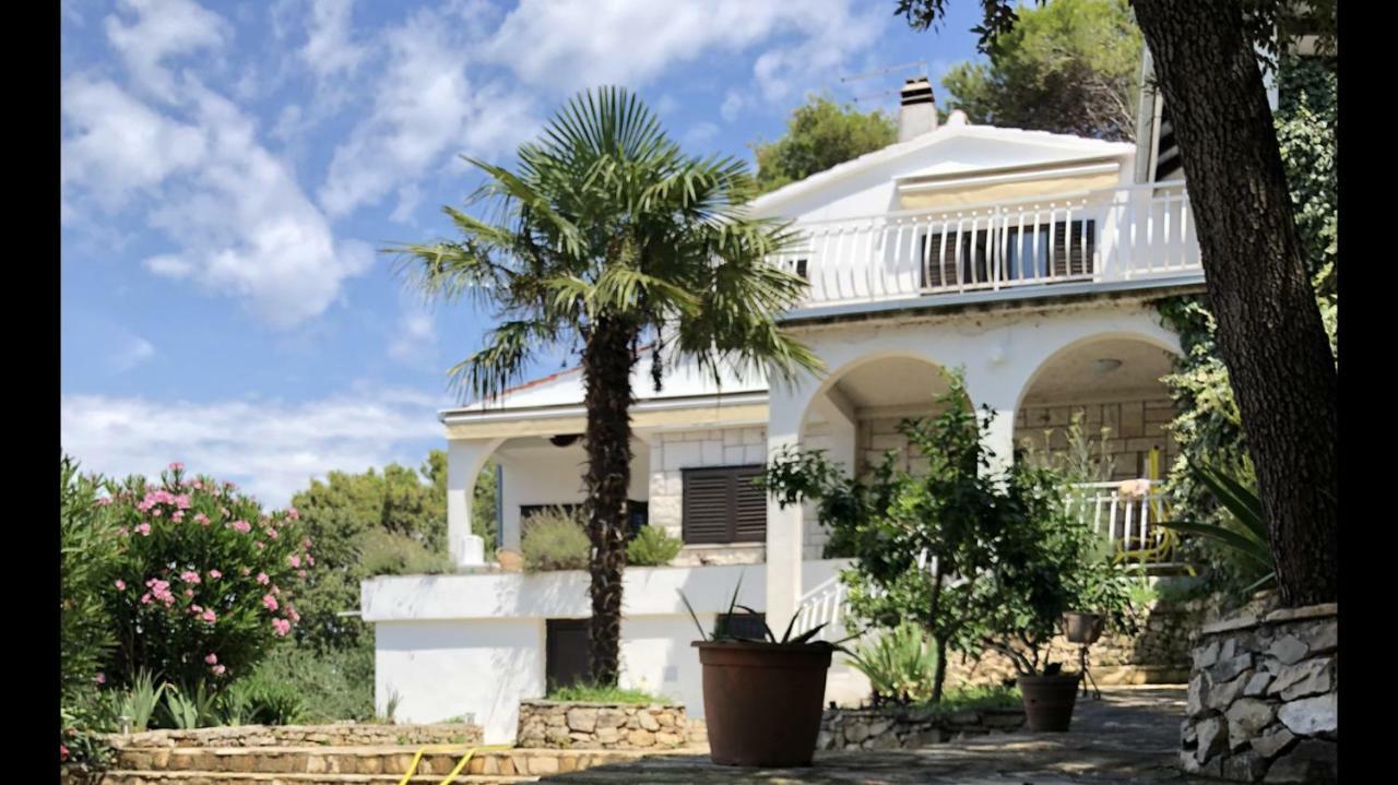In 70m From The Sea *