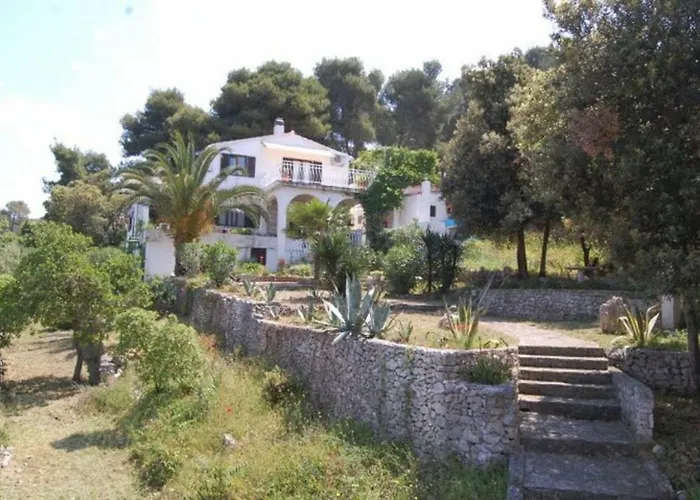 Apartment In Maslinica 70M From The Sea