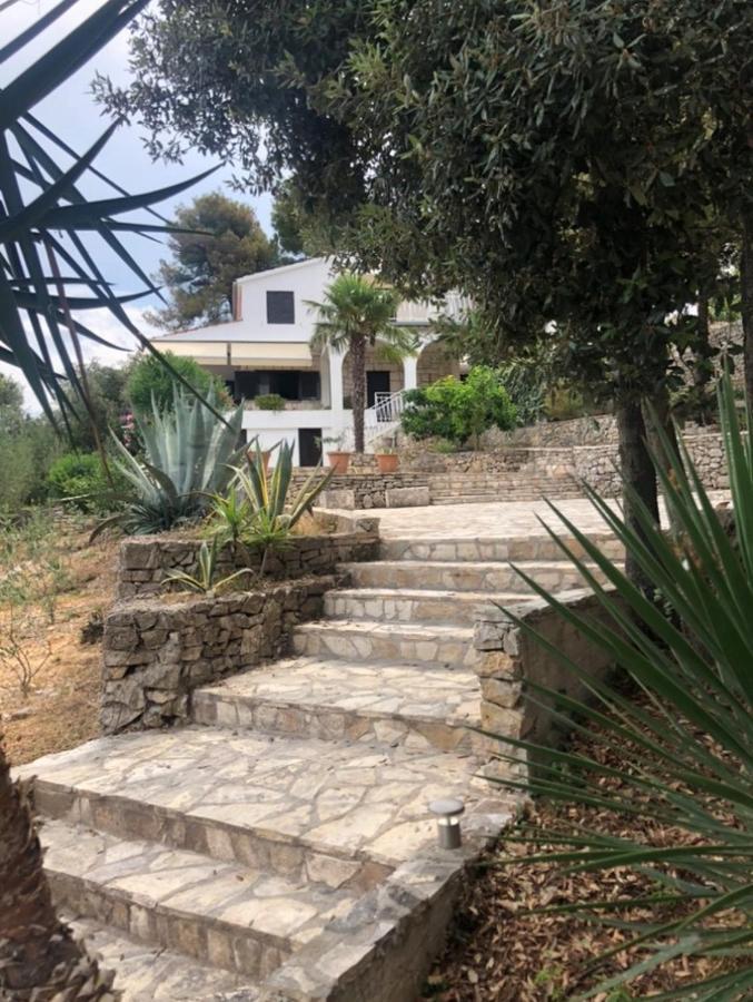 In 70m From The Sea Appartement Maslinica