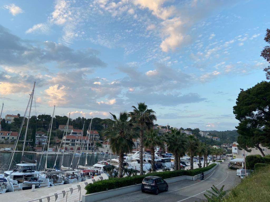 In 70m From The Sea * Maslinica