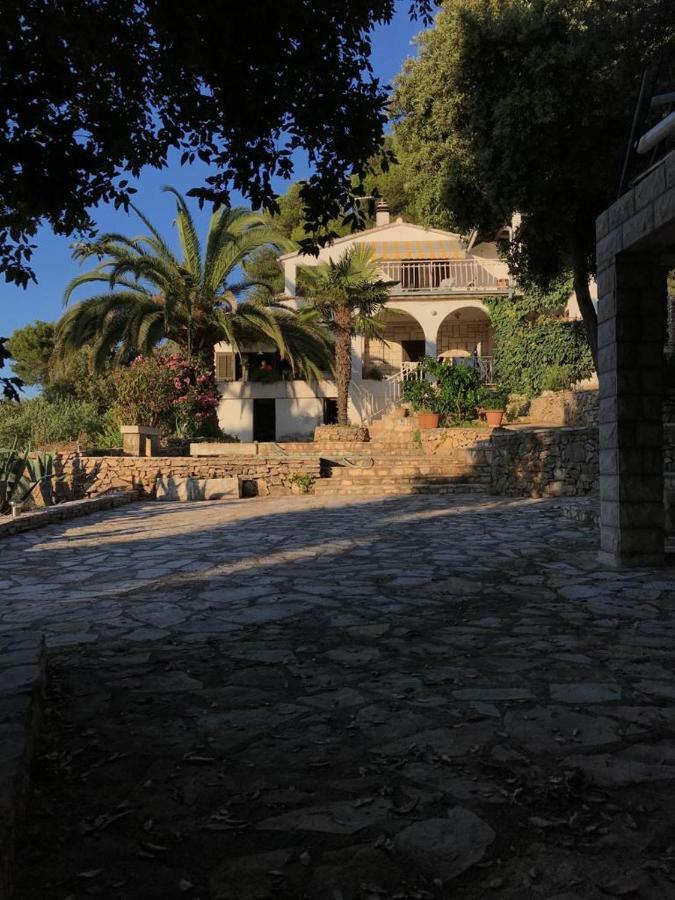 Appartement In 70m From The Sea Maslinica