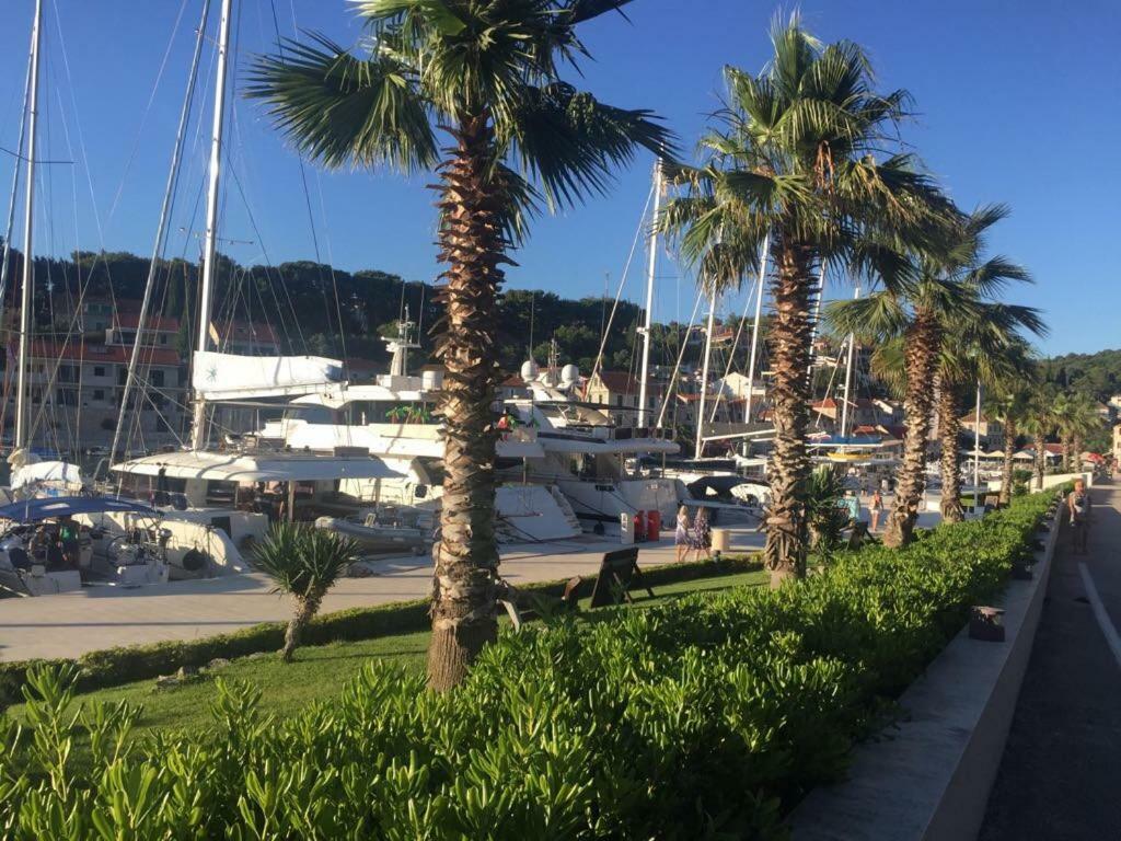 In 70m From The Sea Appartement *