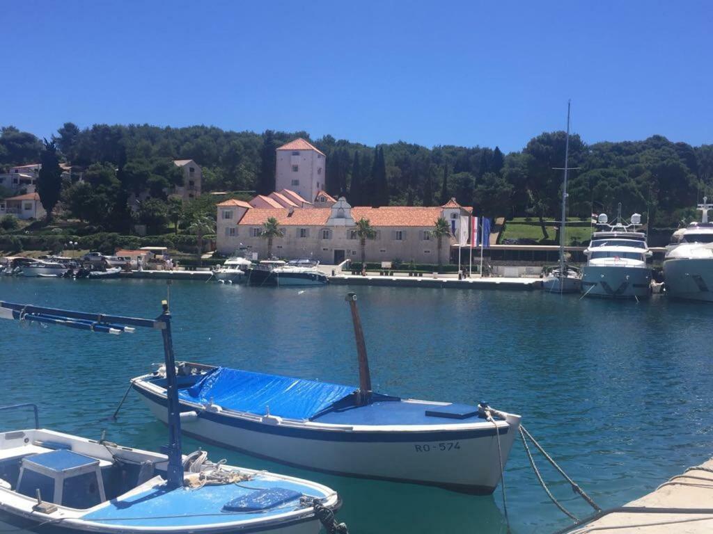 Appartement In 70m From The Sea Maslinica