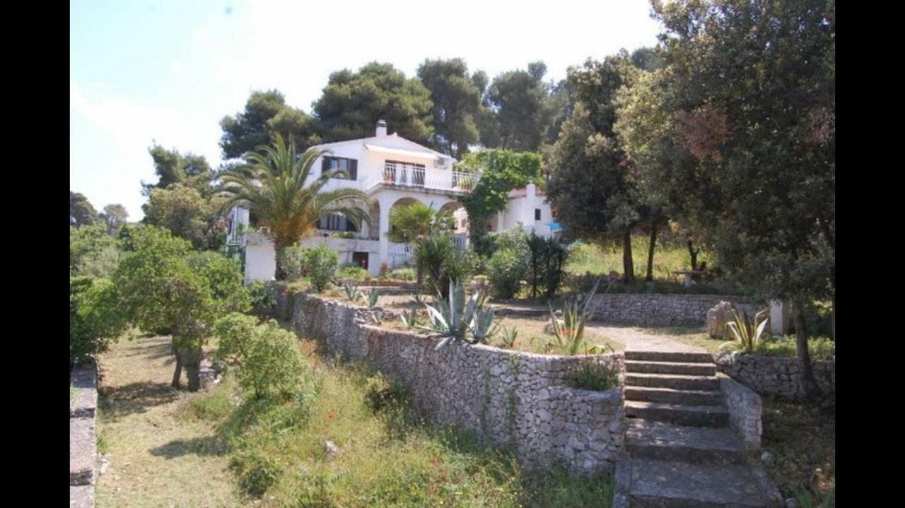 Appartement In 70m From The Sea Maslinica