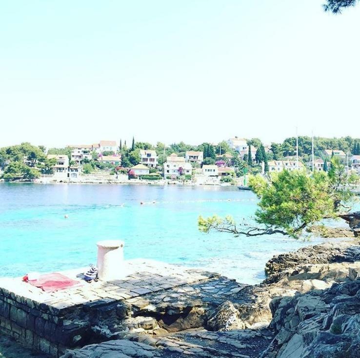 Appartement In 70m From The Sea