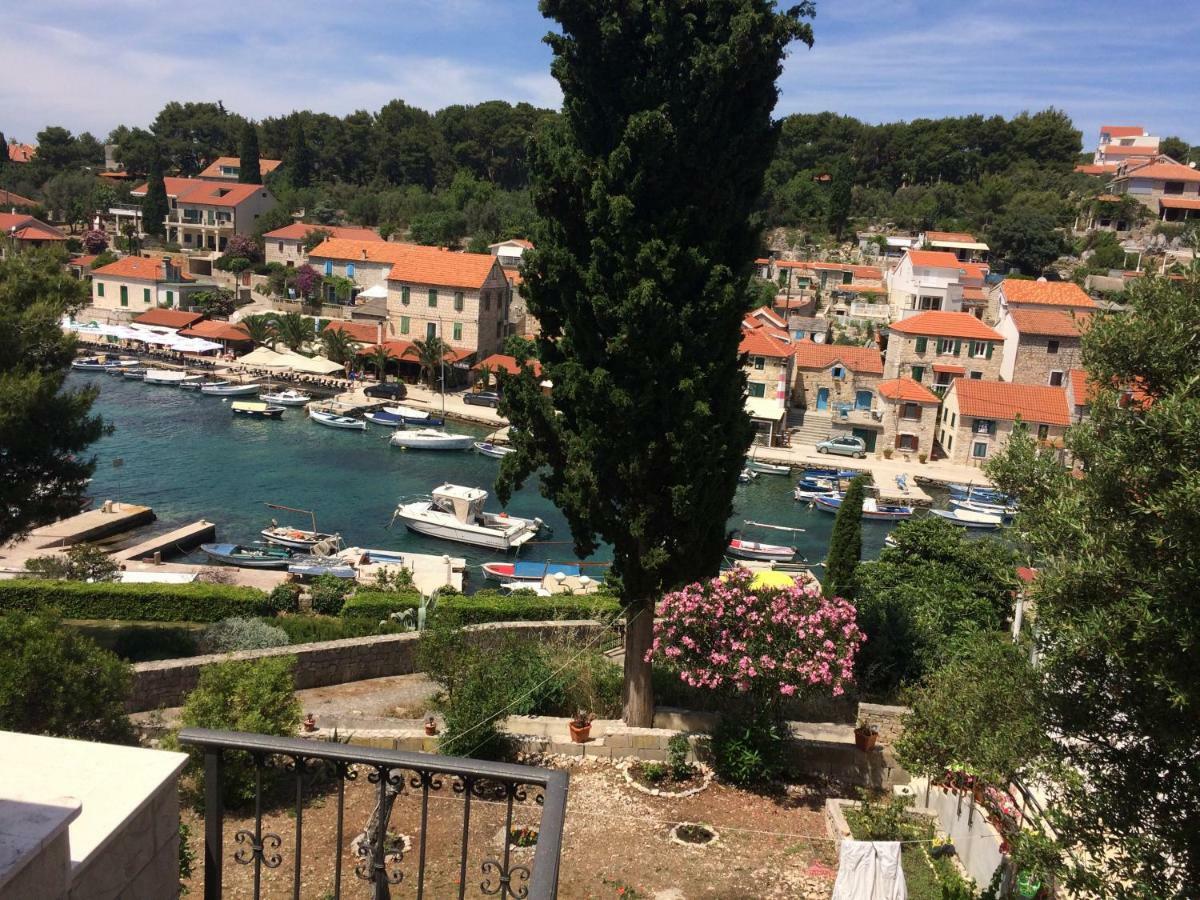 In 70m From The Sea Maslinica